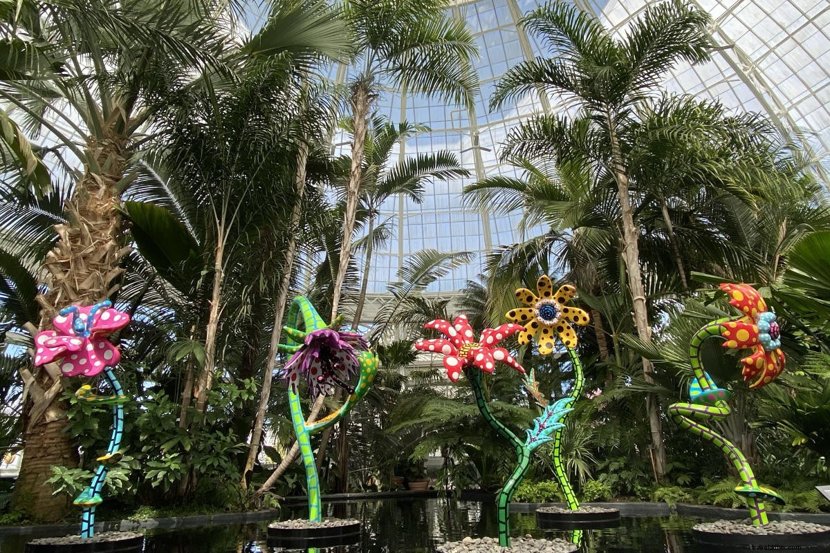 Yayoi Kusama s Cosmic Nature: Polka Dots and Pumpkins Enchant NYBG