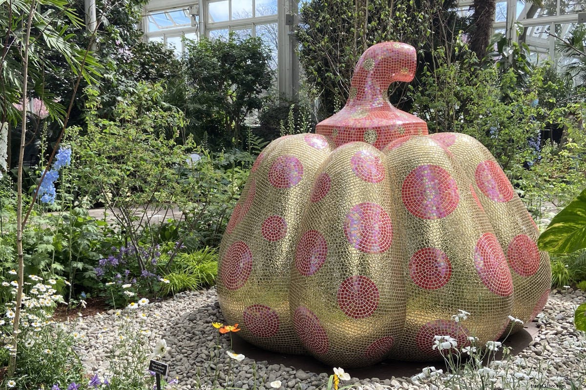 Yayoi Kusama s Cosmic Nature: Polka Dots and Pumpkins Enchant NYBG