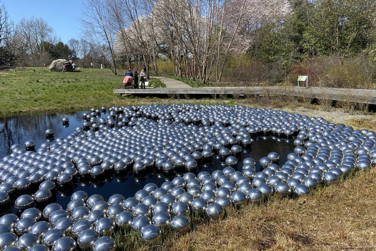 Yayoi Kusama s Cosmic Nature: Polka Dots and Pumpkins Enchant NYBG