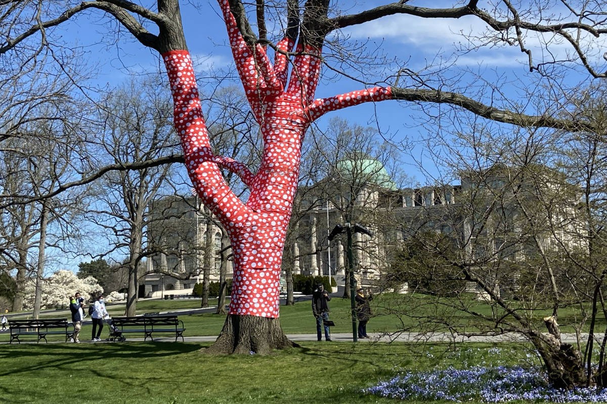 Yayoi Kusama s Cosmic Nature: Polka Dots and Pumpkins Enchant NYBG