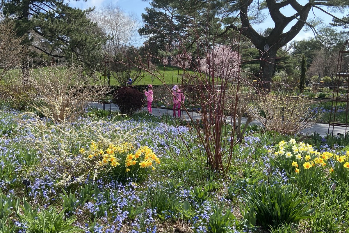 Yayoi Kusama s Cosmic Nature: Polka Dots and Pumpkins Enchant NYBG