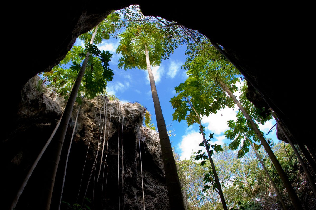 Why I Don t Belong in Turks & Caicos – But the Belongers Do