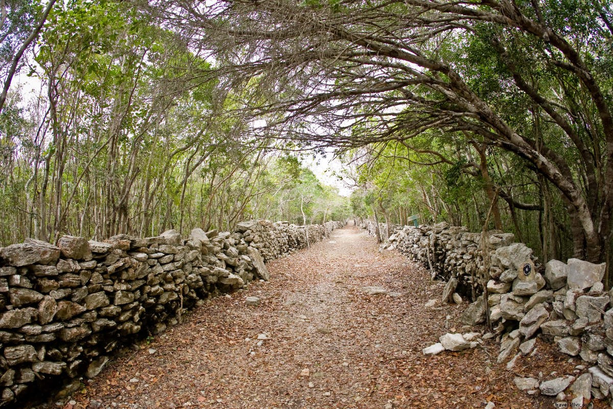 Why I Don t Belong in Turks & Caicos – But the Belongers Do