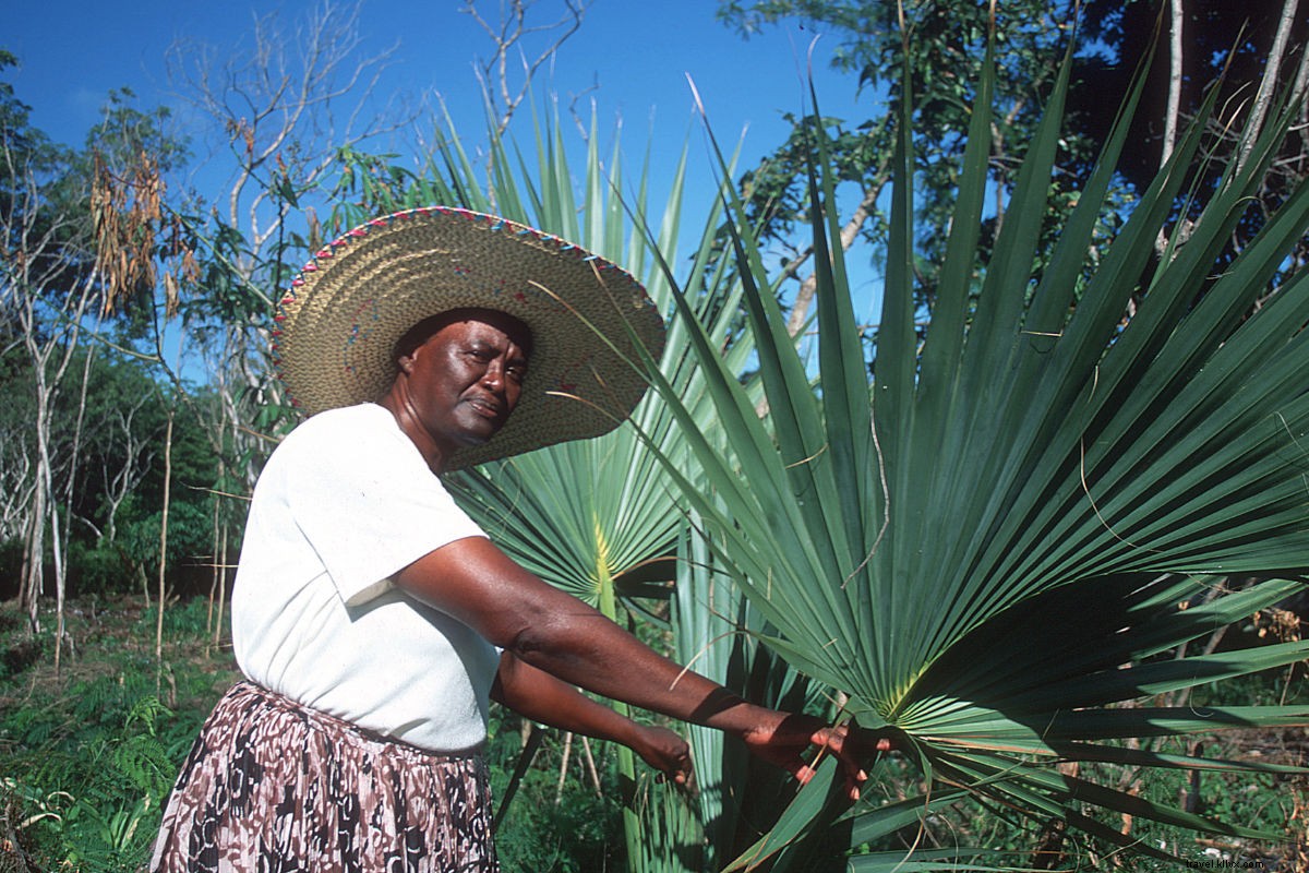 Why I Don t Belong in Turks & Caicos – But the Belongers Do