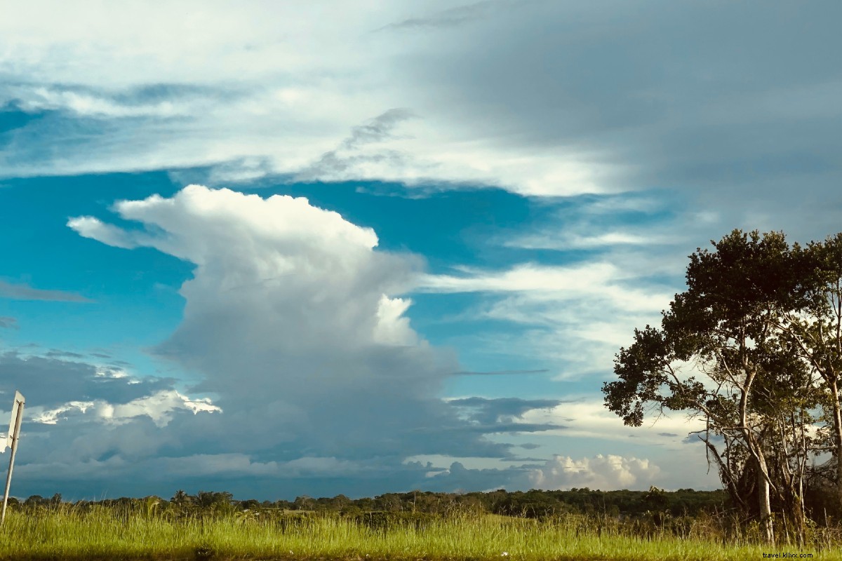 Guyana s Hidden Gems: Burner Phones, Galoshes, and Mashramani in Arisa White s  Who s Your Daddy 