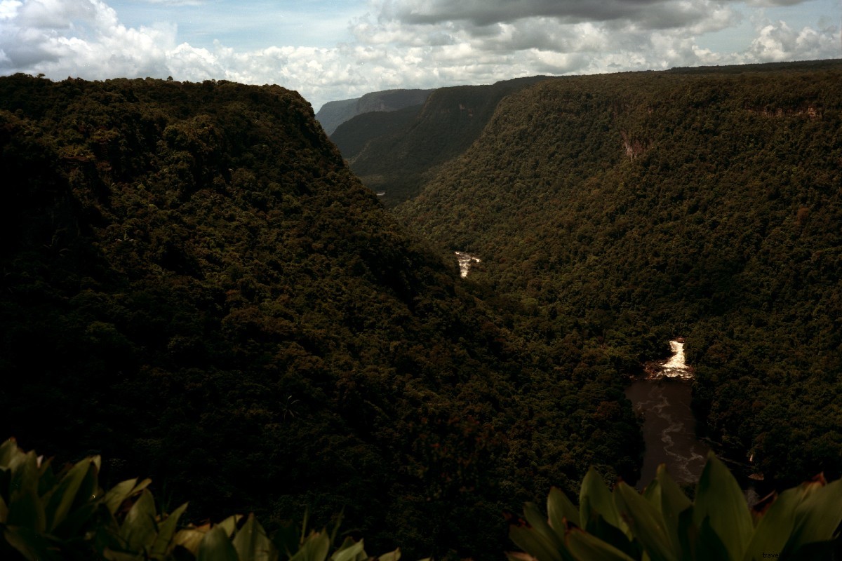 Guyana s Hidden Gems: Burner Phones, Galoshes, and Mashramani in Arisa White s  Who s Your Daddy 