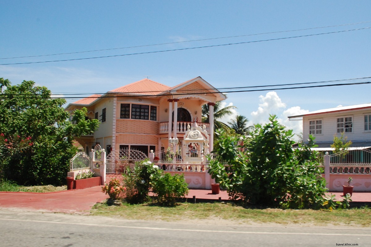 Guyana s Hidden Gems: Burner Phones, Galoshes, and Mashramani in Arisa White s  Who s Your Daddy 