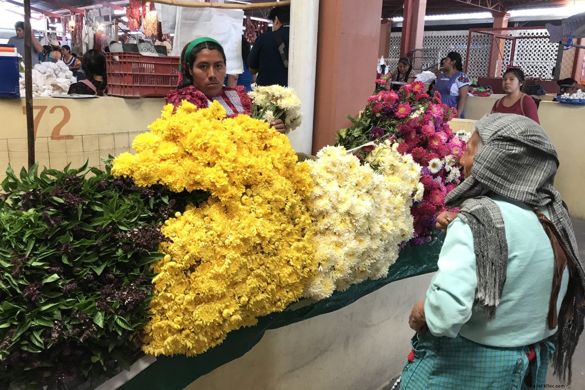 Oaxaca Uncovered: A Fashion Designer s Insider Guide