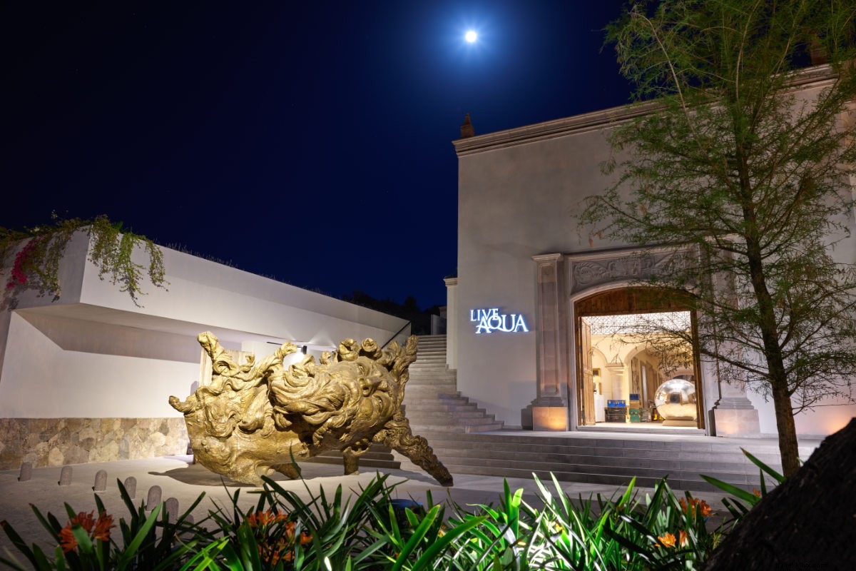 Women Entrepreneurs Leading the Way in San Miguel de Allende