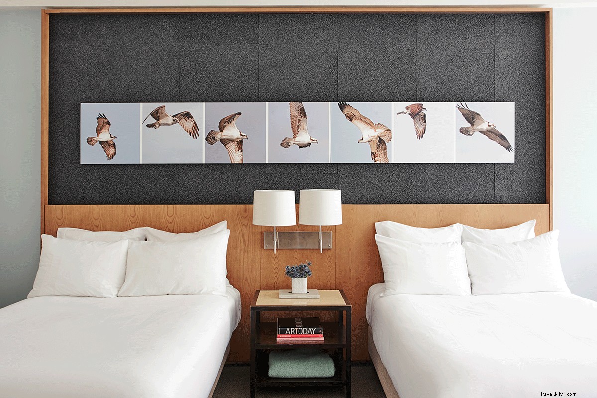 Stay at 21C Museum Hotel: Luxury Art Haven on Kentucky s Bourbon Trail