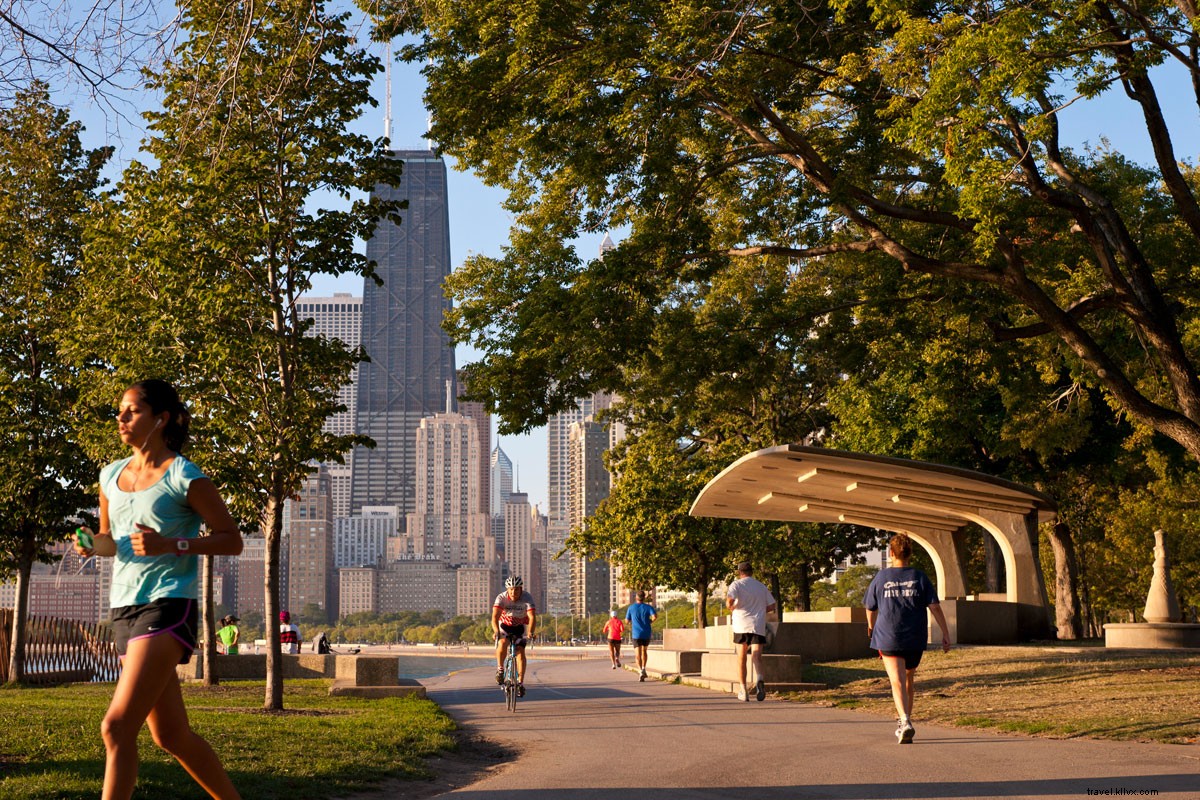 Chicago s Top 10: Breathtaking Views, Cultural Gems & Lakefront Highlights