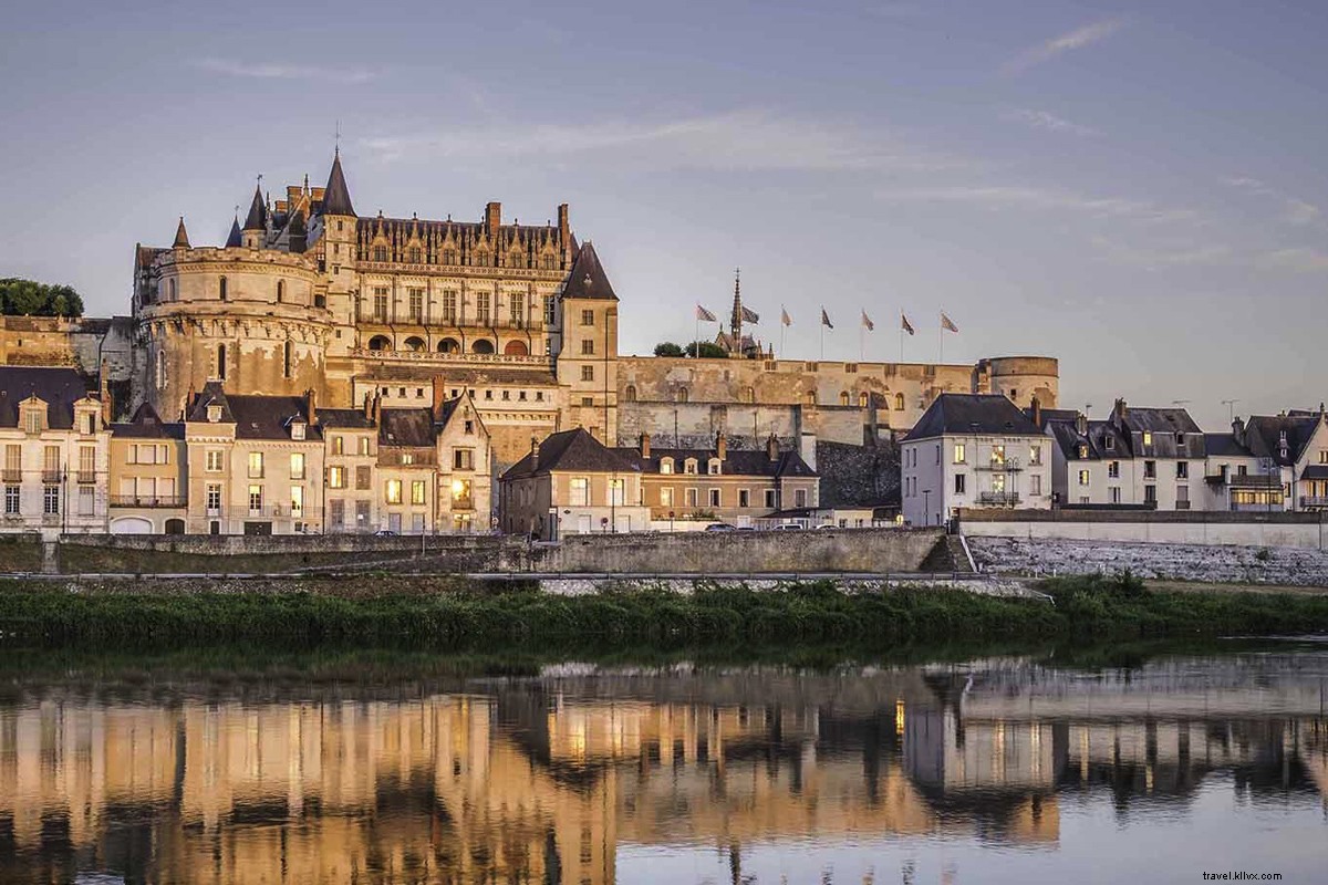 Discover Leonardo da Vinci s Legacy in the Loire Valley: 500th Anniversary Tribute