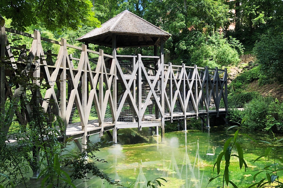 Discover Leonardo da Vinci s Legacy in the Loire Valley: 500th Anniversary Tribute