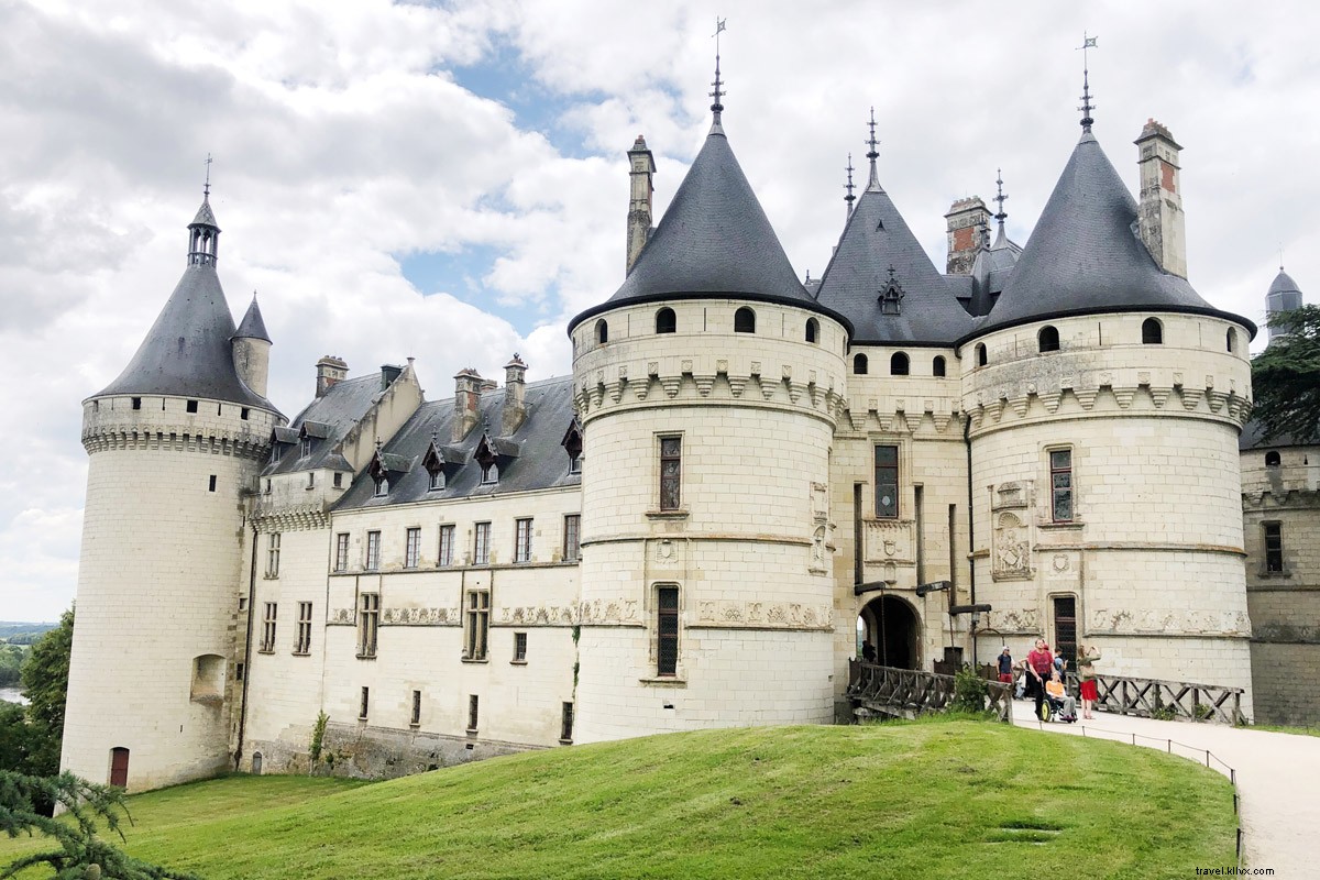 Discover Leonardo da Vinci s Legacy in the Loire Valley: 500th Anniversary Tribute