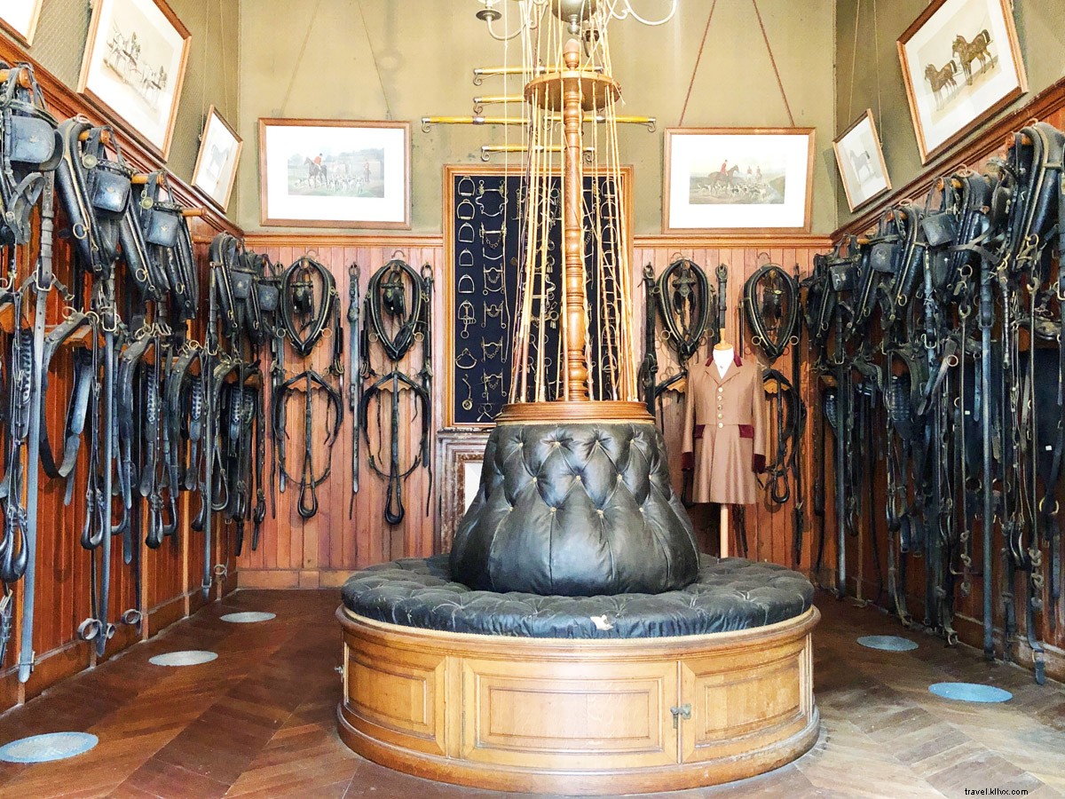 Discover Leonardo da Vinci s Legacy in the Loire Valley: 500th Anniversary Tribute