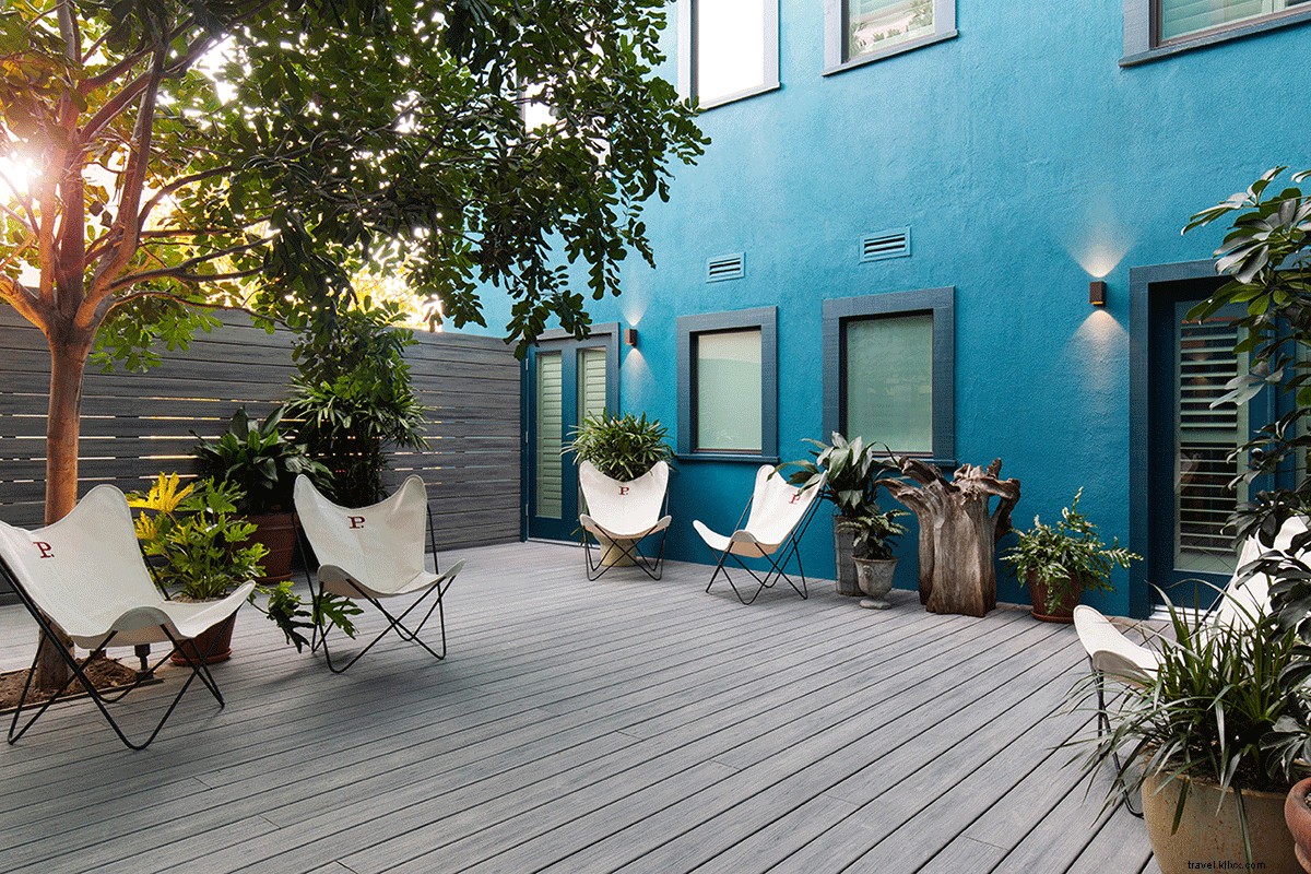 Exclusive Behind-the-Scenes at Palihotel Culver City: LA s Trendiest Hotel