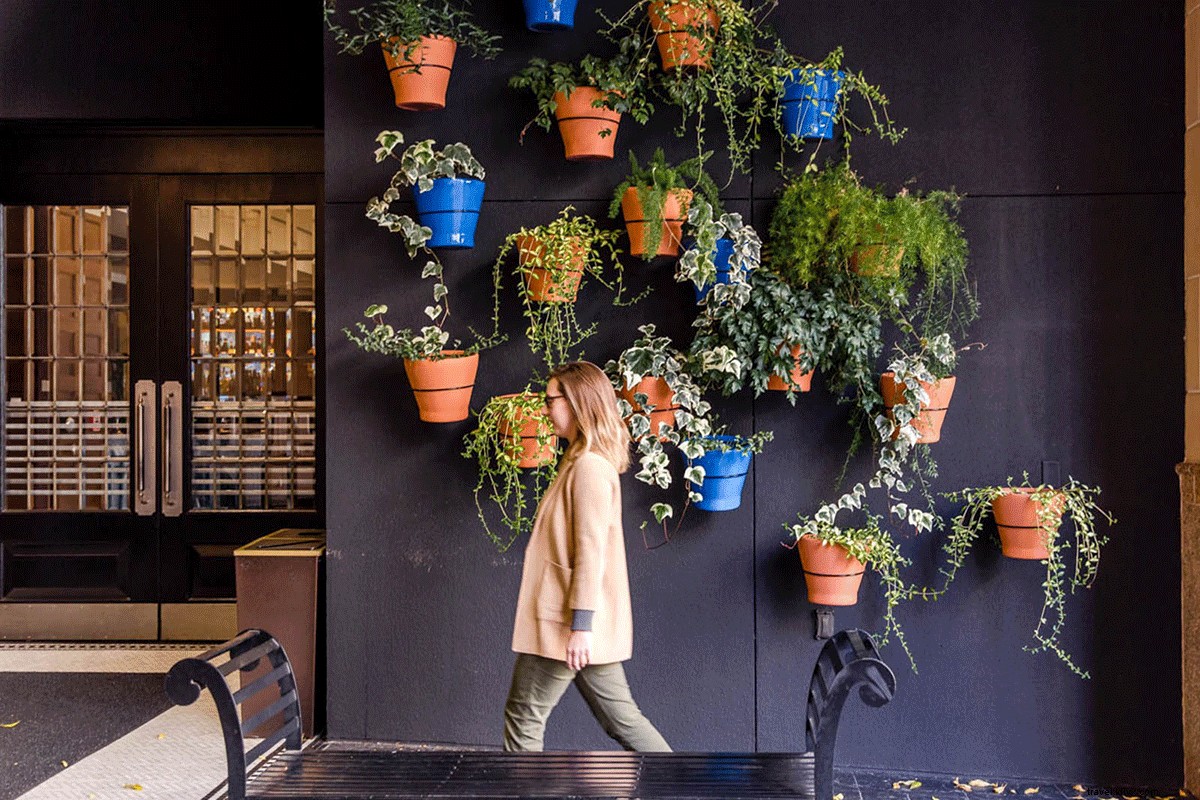 Dossier Portland: Stylish Plant-Filled Retreat for Wellness Seekers