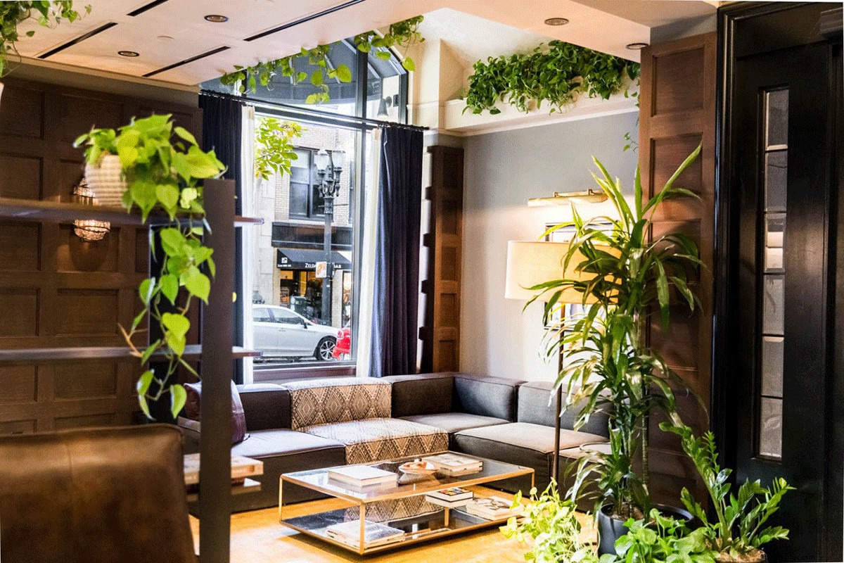 Dossier Portland: Stylish Plant-Filled Retreat for Wellness Seekers