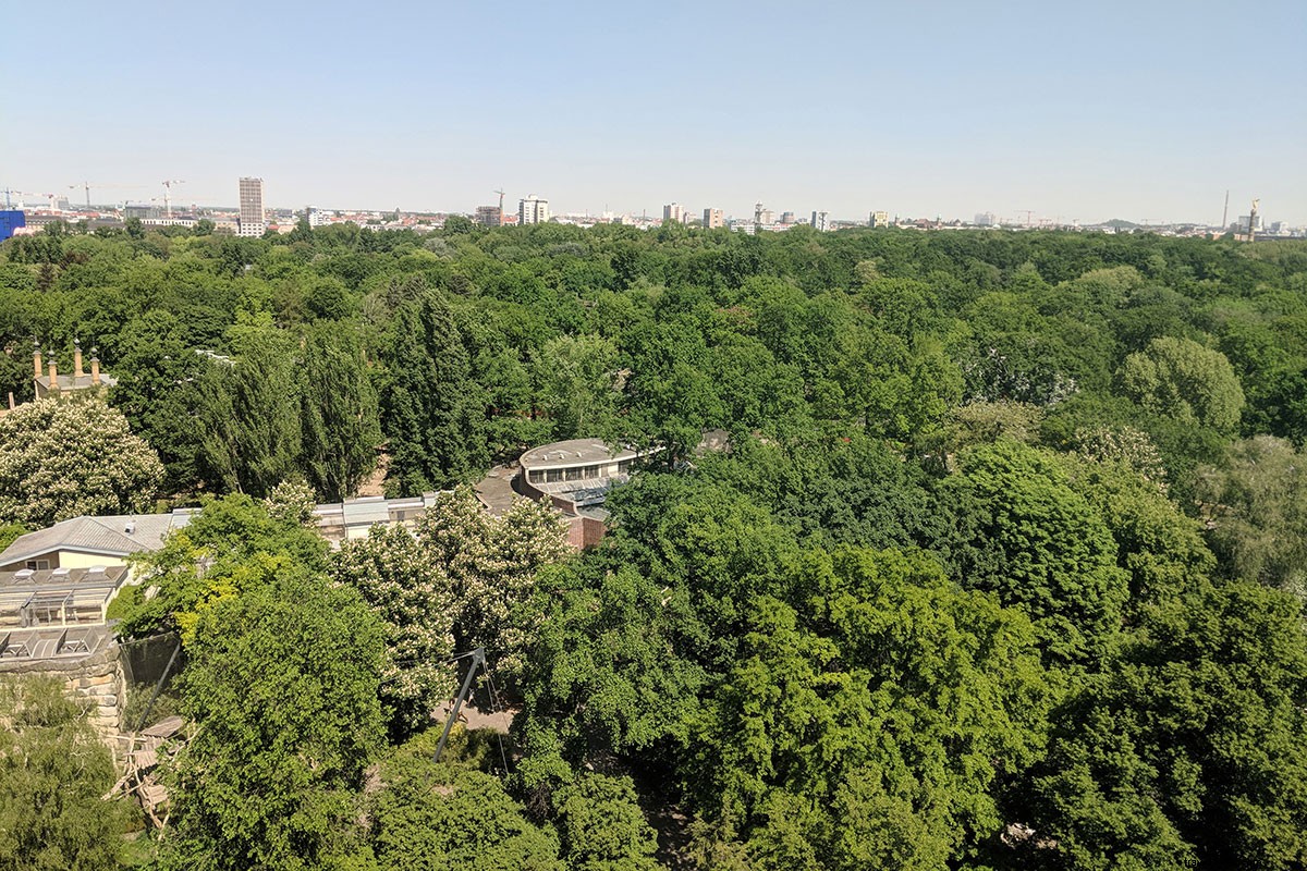 Berlin s Intoxicating Allure: First Impressions from a Longtime Fan