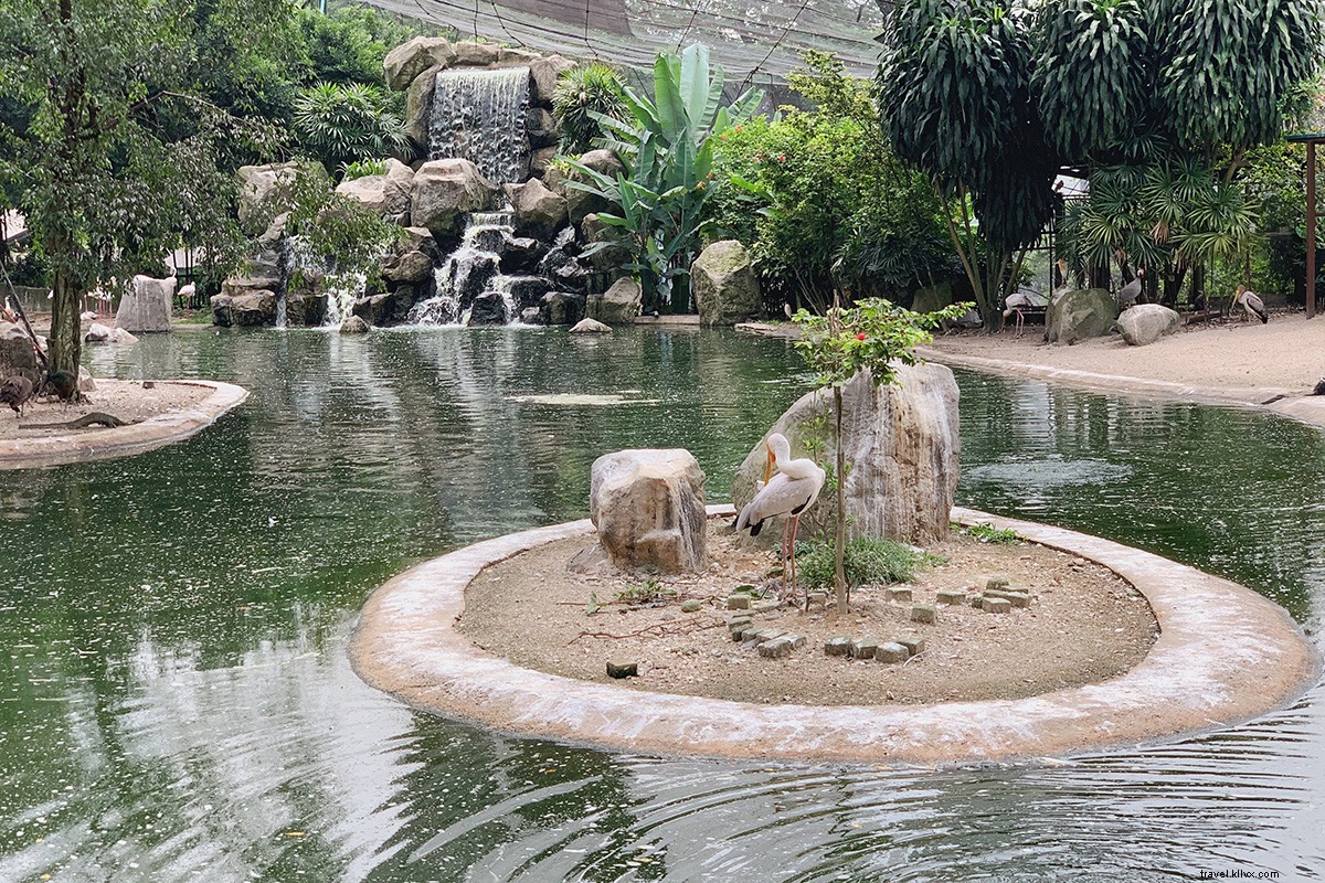 Kuala Lumpur: Savor Flavors from 10 Countries in One Vibrant City