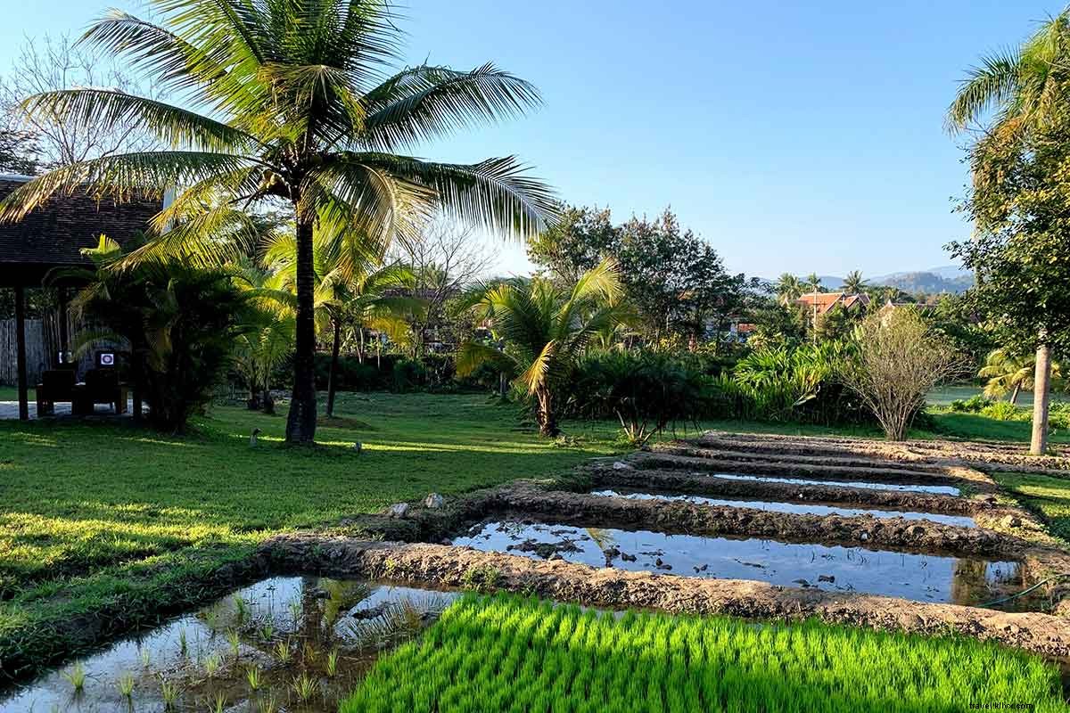 Discover Luang Prabang: Laos  UNESCO Gem and Its Luxurious Hotels