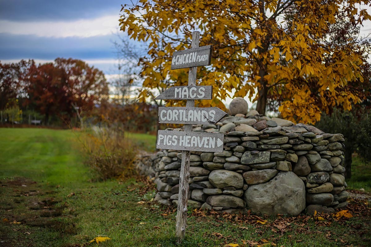 Discover Woodstock, NY: Best Attractions Beyond the Legendary Festival