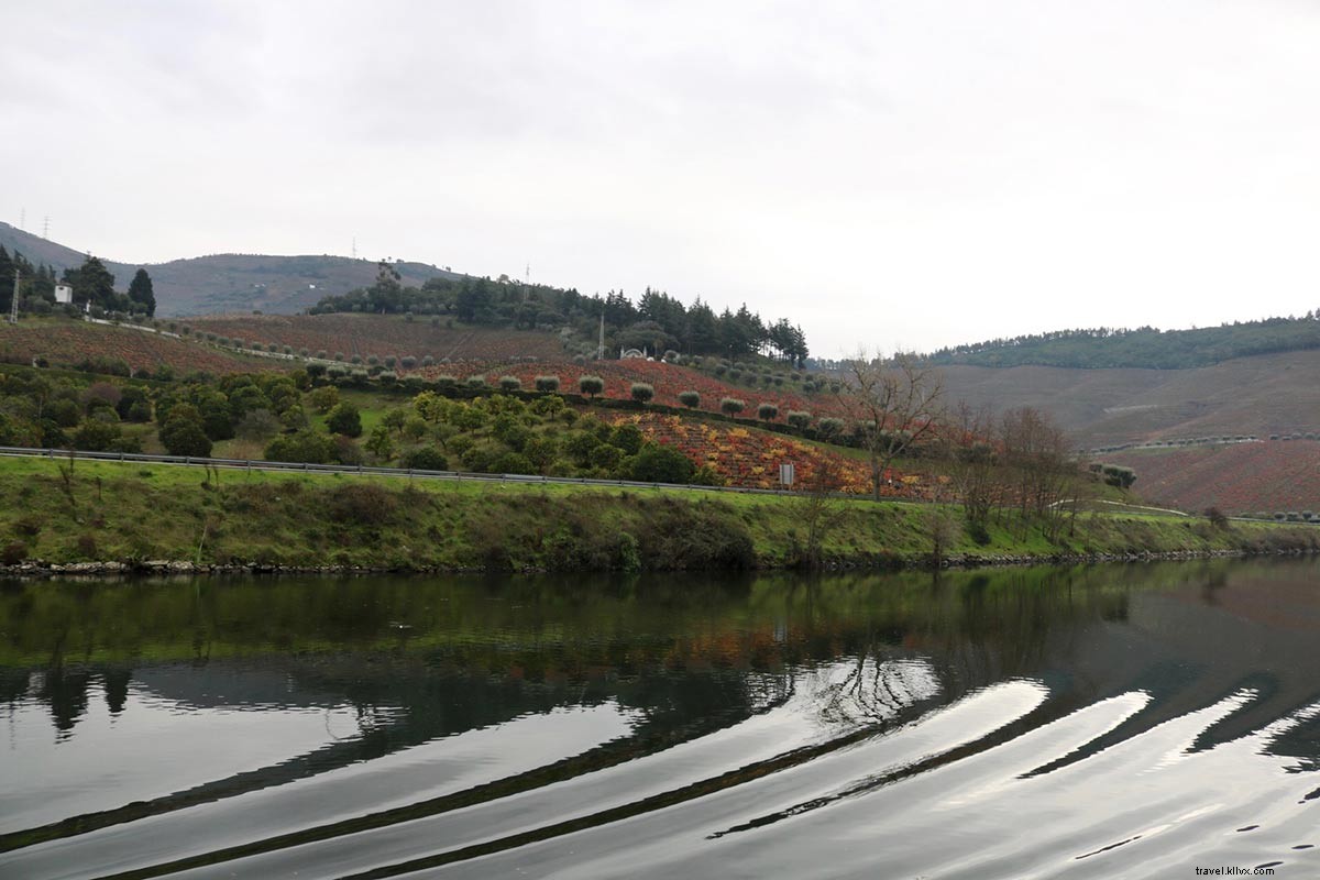 Discover Portugal s Stunning Douro Valley on a Scenic River Cruise