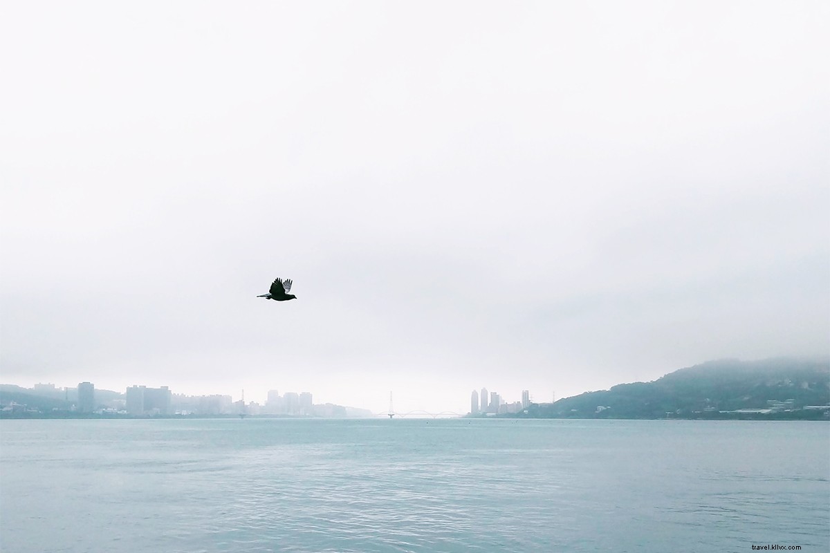 Fringe Benefits of Taipei: Explore City Limits and Beyond