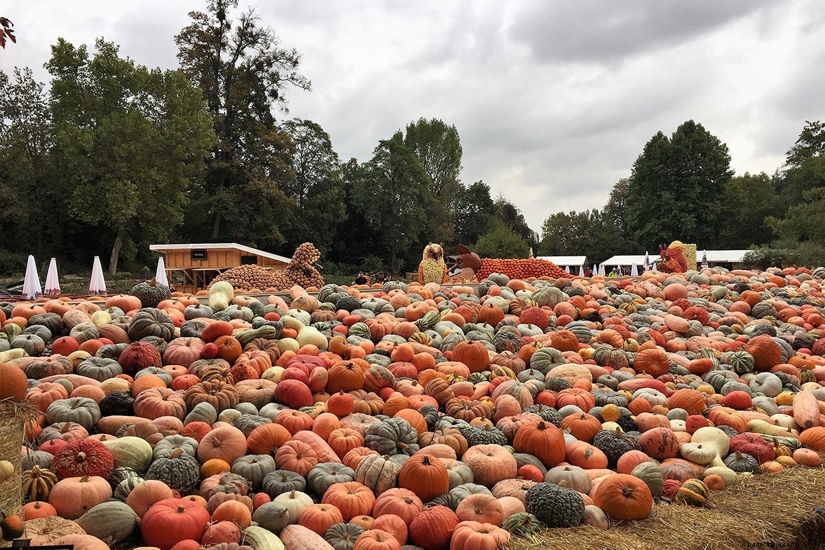 Discover Stuttgart: Beer Festivals, Luxury Cars, and Fine Wines