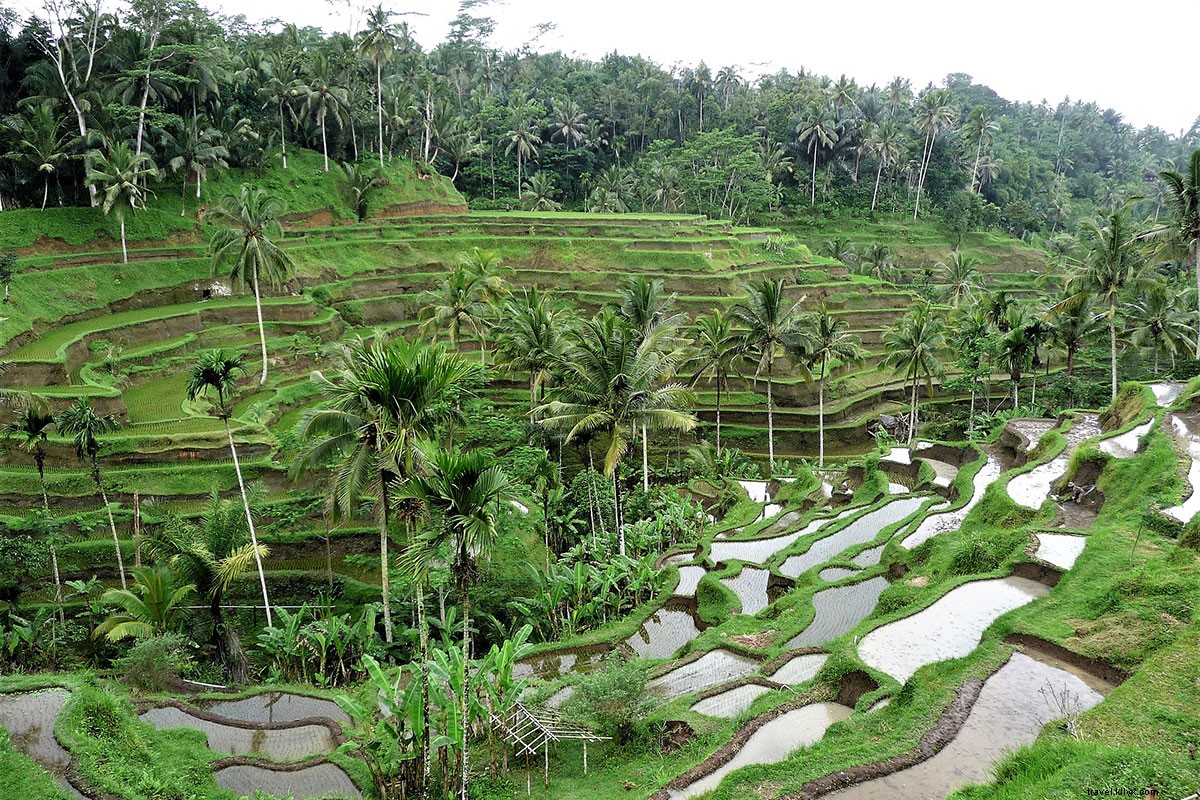 Kathy Sirvio: Chevrolet s Senior Design Manager and Passionate Traveler