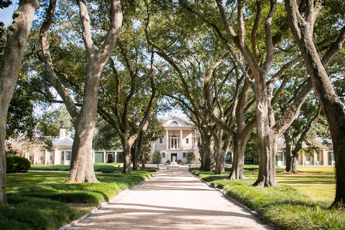 Discover New Orleans  Top 10 Voodoo, Cultural, and Culinary Hotspots