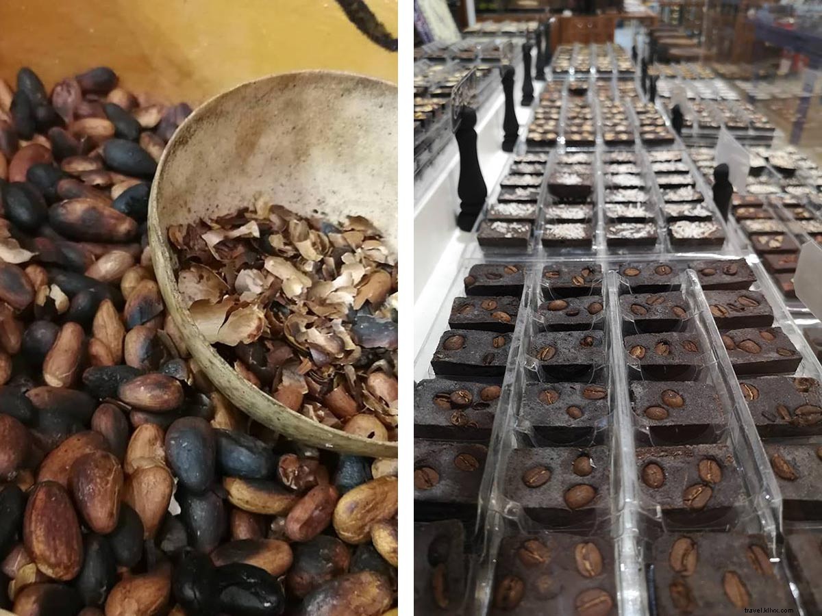 Discover Authentic Cancún: Live Like a Local Beyond the Tourist Crowds