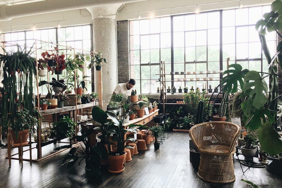 Hotel Clermont Revival: Atlanta s Historic Gem Reborn – Ultimate Insider Guide