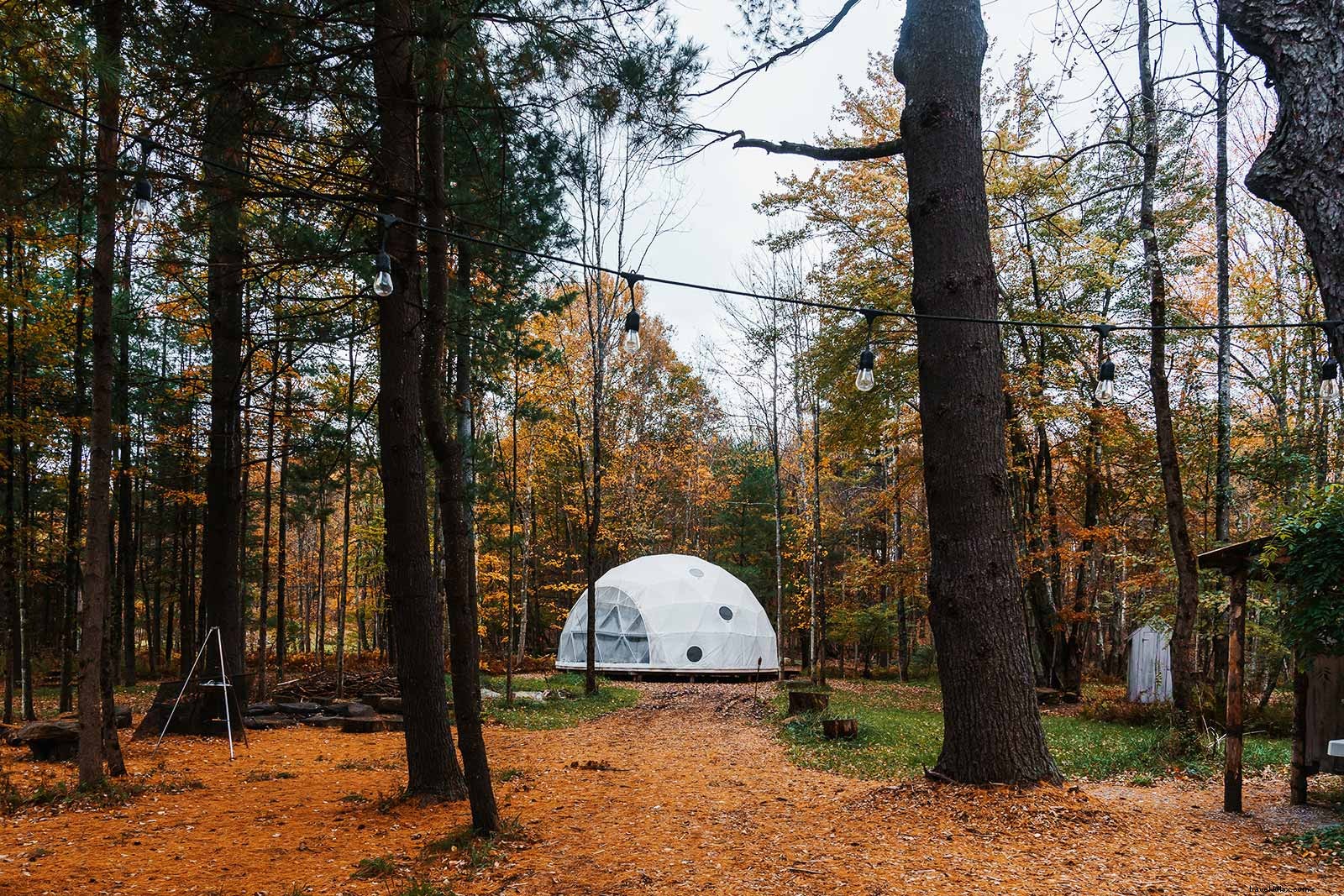 Mountain Dale: The Quirky, Up-and-Coming Catskill Gem You Need to Know