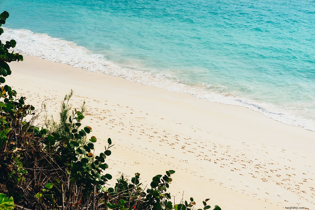 Ultimate Bermuda Travel Guide: Pink Sands, Food & Culture Revealed