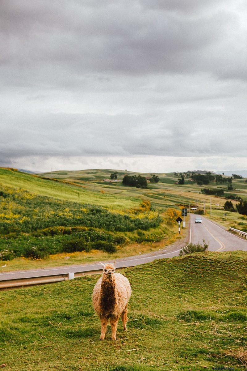 Exploring Peru s Sacred Valley of the Incas: A Travel Photographer s Captivating Journey