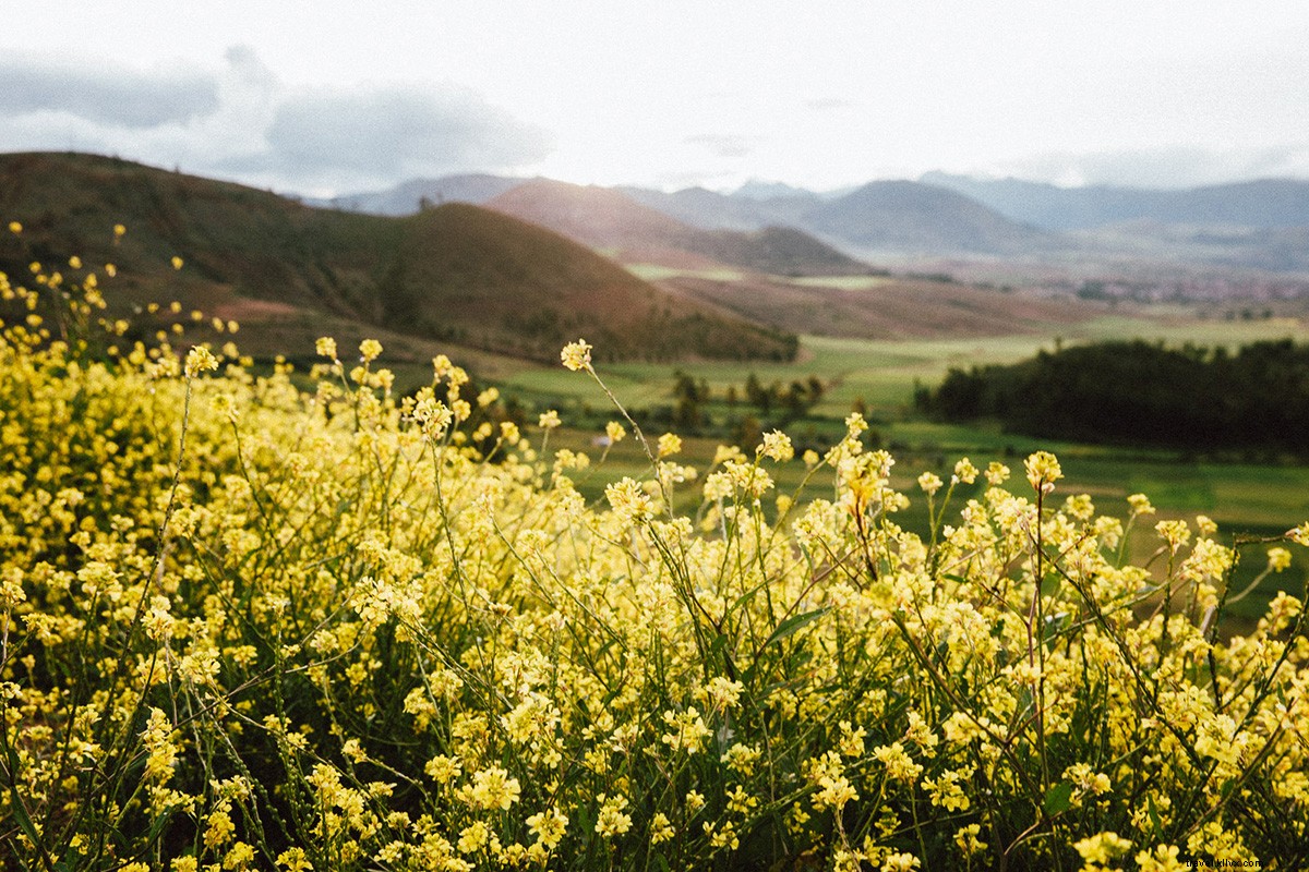 Exploring Peru s Sacred Valley of the Incas: A Travel Photographer s Captivating Journey