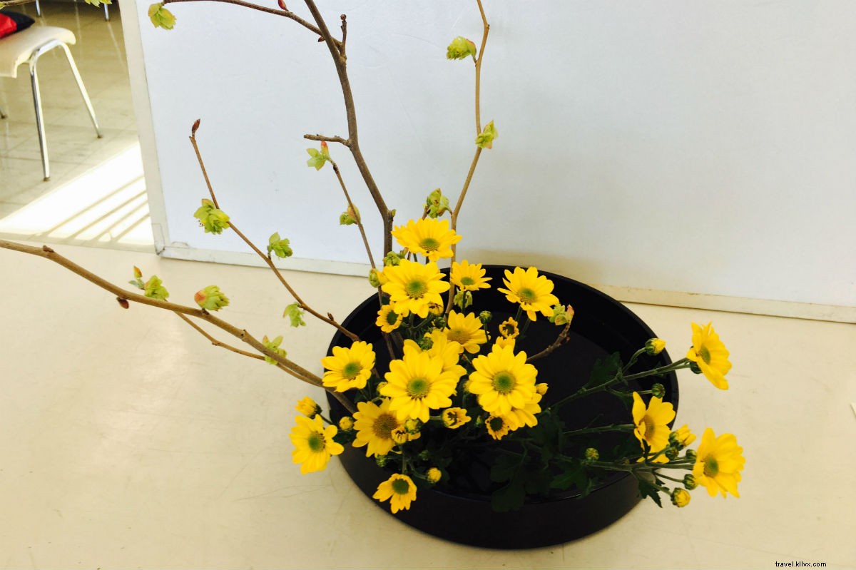 Japan s Captivating Art: Edible, Floral, Farm-Inspired, and Visually Stunning from Tokyo to Naoshima