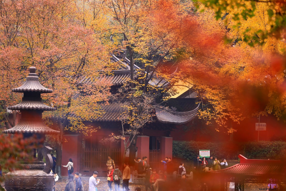 Ultimate Year-Round Guide to Nanjing: China s Must-Visit Destination