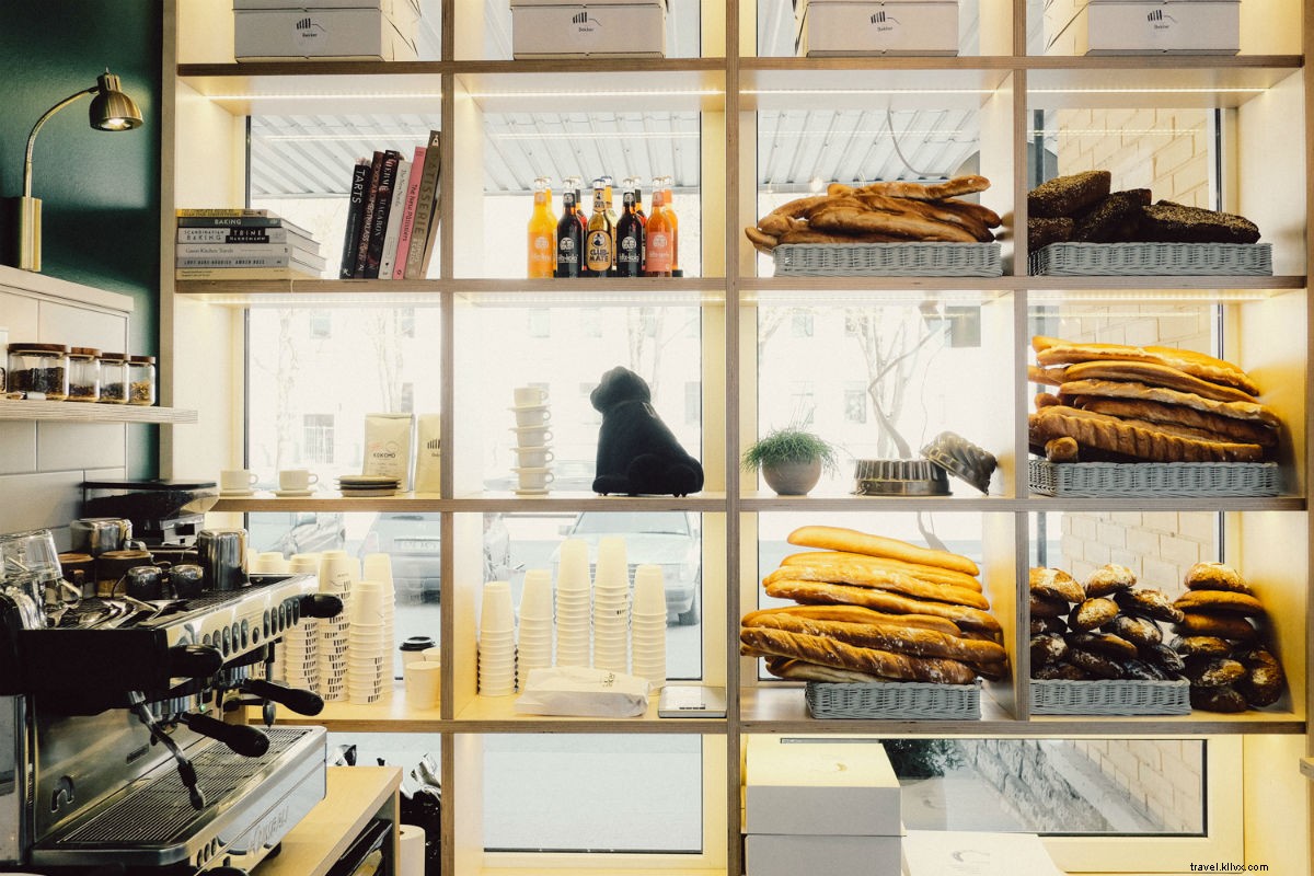 Tallinn, Estonia: An Unforgettable Day in a Hidden Baltic Gem