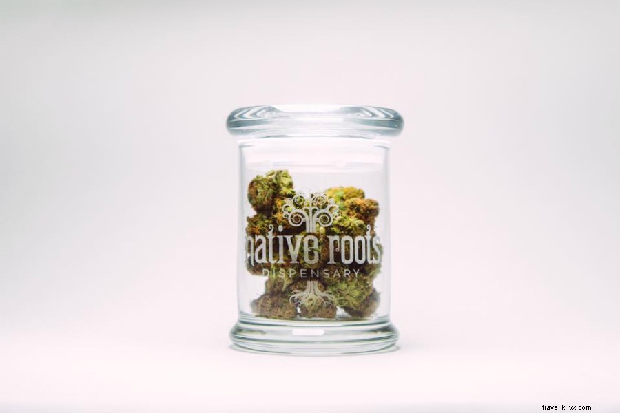 Ultimate Denver Guide: Must-See Sights, Eats, Drinks & Insider Tips from a Local