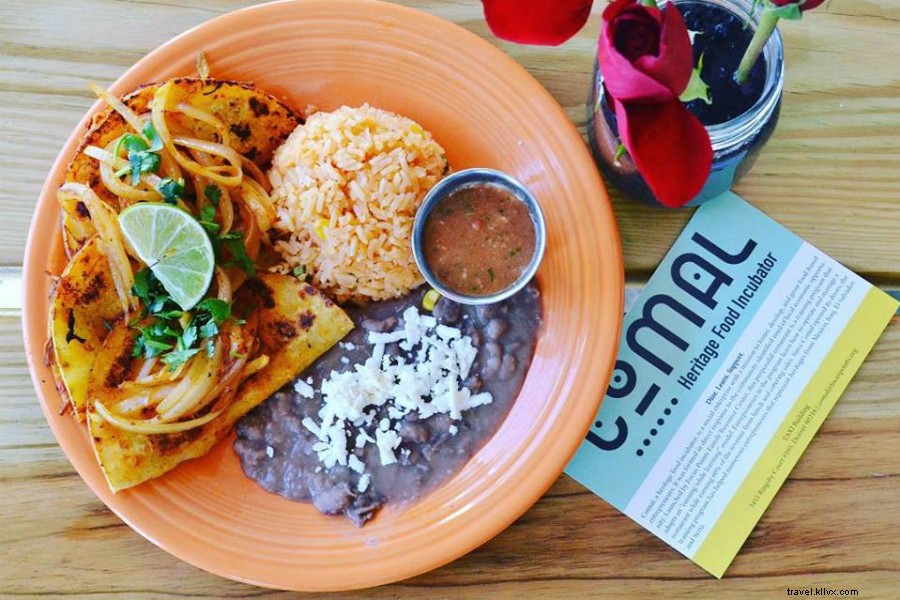 Ultimate Denver Guide: Must-See Sights, Eats, Drinks & Insider Tips from a Local