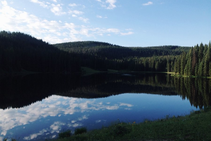 Ultimate Denver Guide: Must-See Sights, Eats, Drinks & Insider Tips from a Local