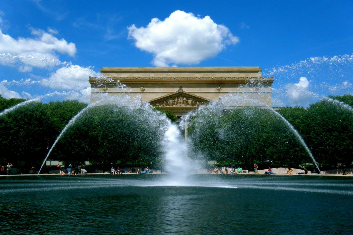 Washington D.C. Cherry Blossom Season: Your Ultimate Travel Guide