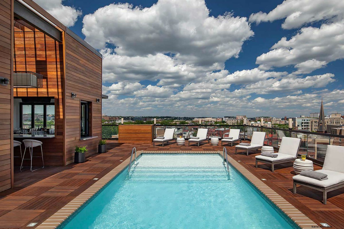 Washington D.C. Cherry Blossom Season: Your Ultimate Travel Guide