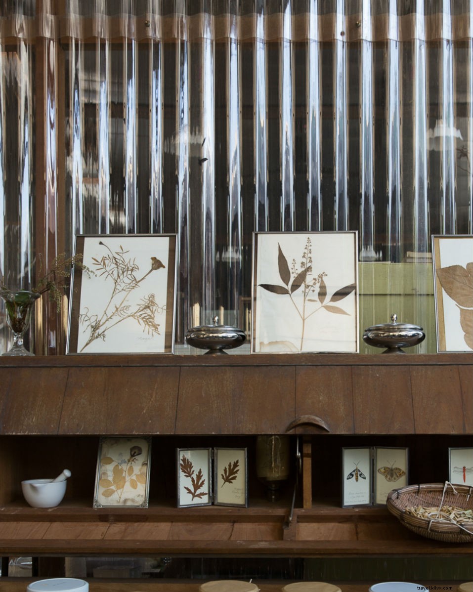 Where Old Meets New: Exploring Penang s Photogenic Capital, George Town