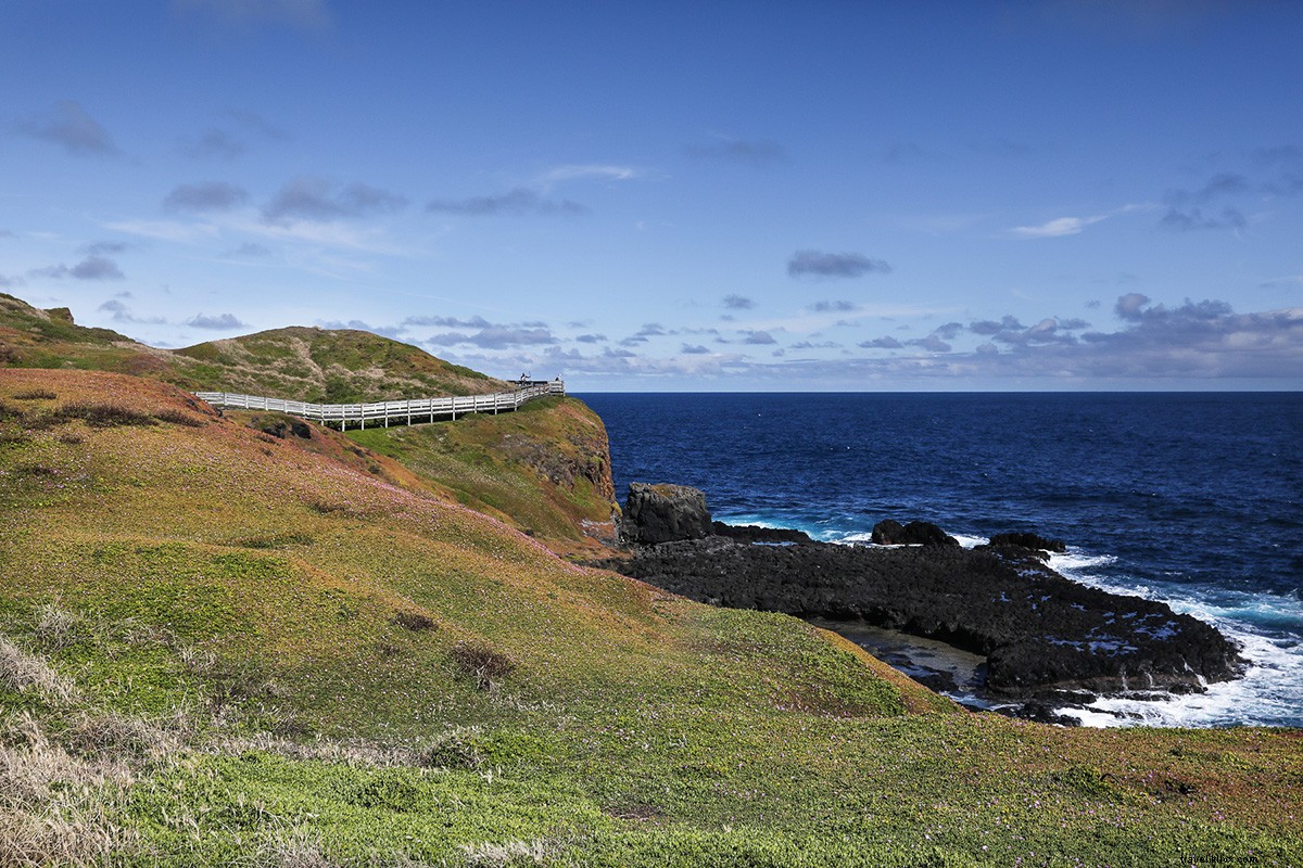 Victoria, Australia: A Photographer s Paradise at Every Turn