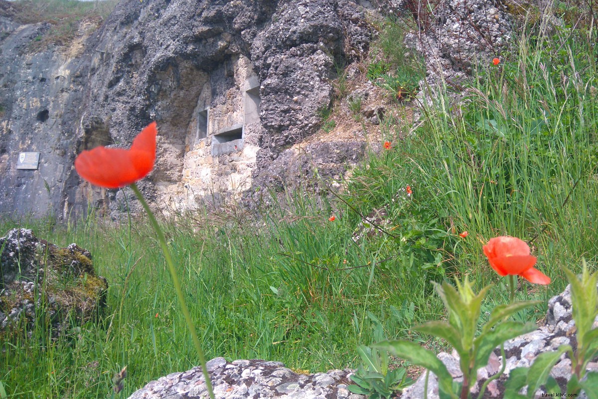 Discover Living History: World War I Battle Sites in Northeast France