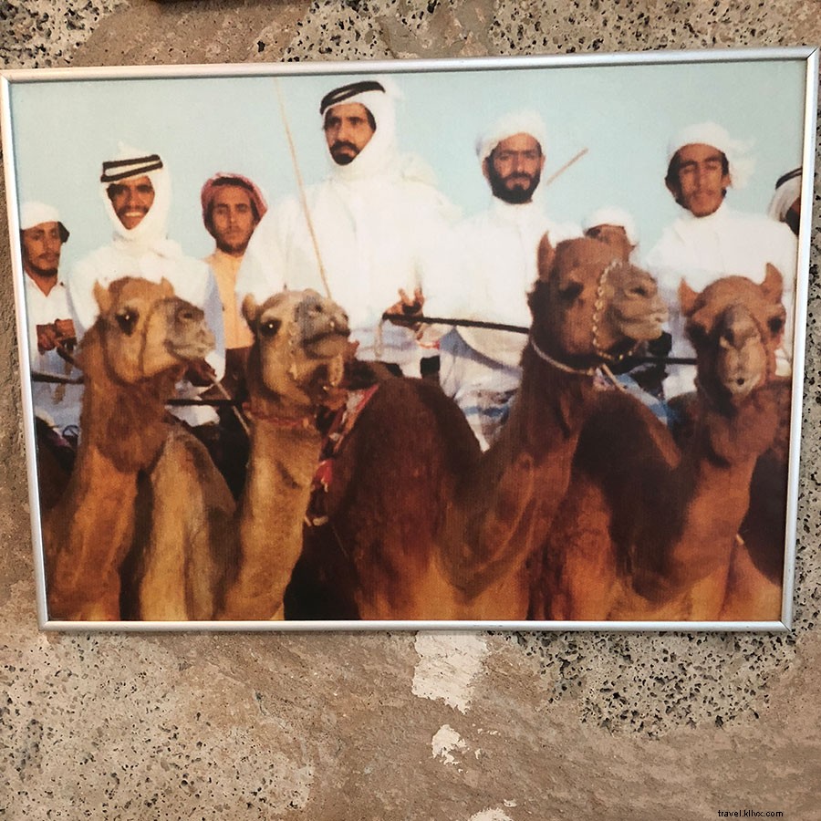 Discover Dubai Beyond the Glitz: Vegan Cafes, Artisan Chocolates & Hidden Gems