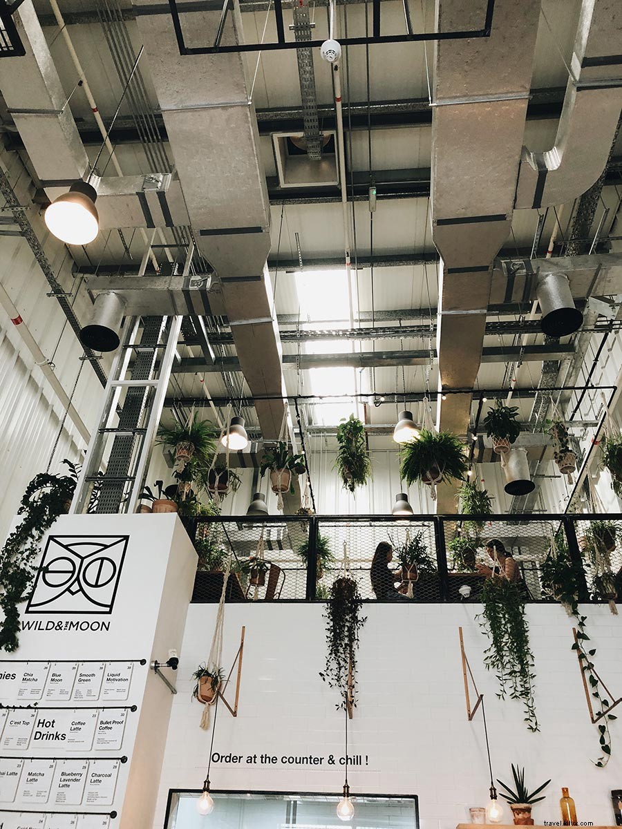 Discover Dubai Beyond the Glitz: Vegan Cafes, Artisan Chocolates & Hidden Gems